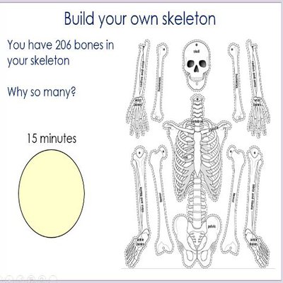 skeleton.JPG